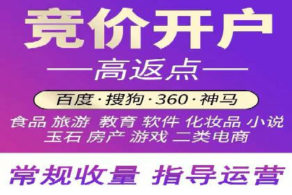 某行业领军企业的SEM广告投放策略